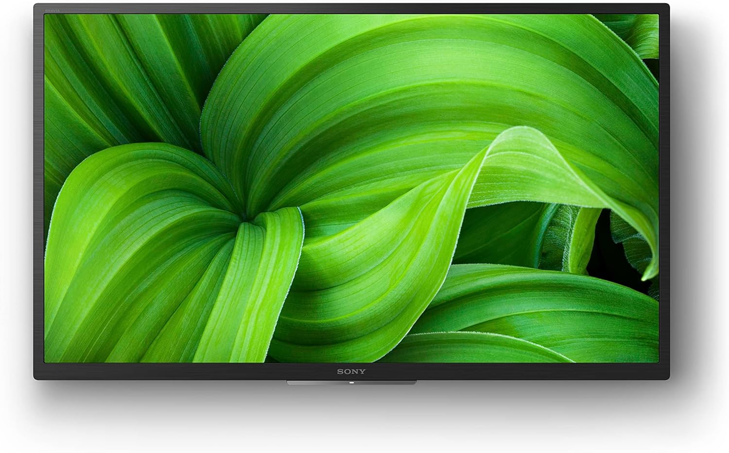 Sony KD32W800PAEP 32-inch TV - view 6